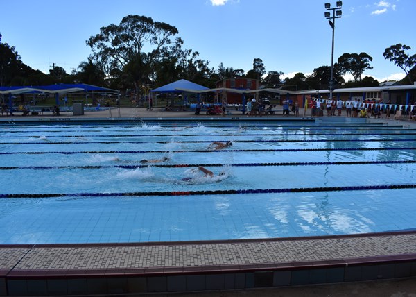 2018 Swimming Carnival Images 9