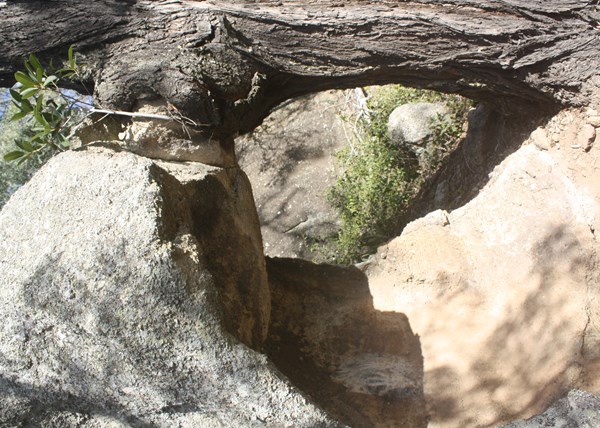 Baiame Cave Excursion Images 12