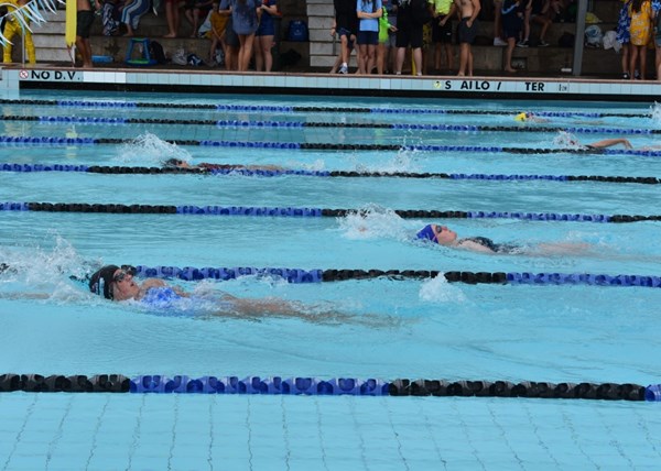 2021 Swimming Carnival Images 9