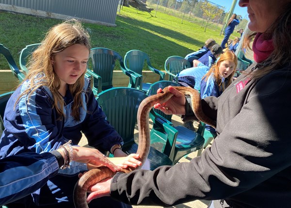 Year 8 HSIE Hunter Valley Zoo Images 2