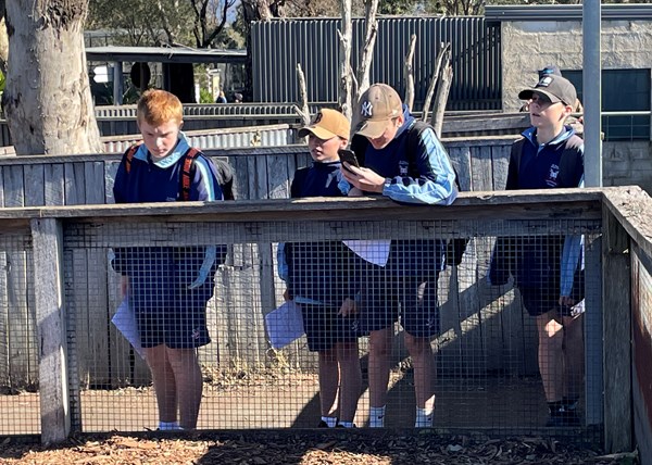 Year 8 HSIE Hunter Valley Zoo Images 9