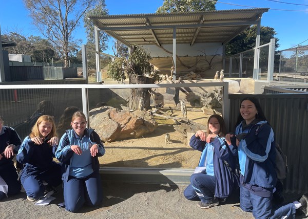 Year 8 HSIE Hunter Valley Zoo Images 19